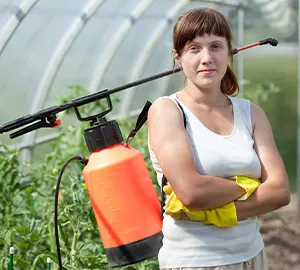 مكافحة الحشرات